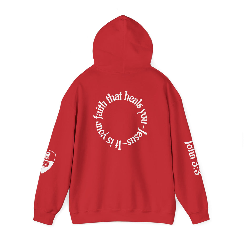 Faith Heals Hoodie – John 3:3 Christian Pullover with Scripture Circle Back Design