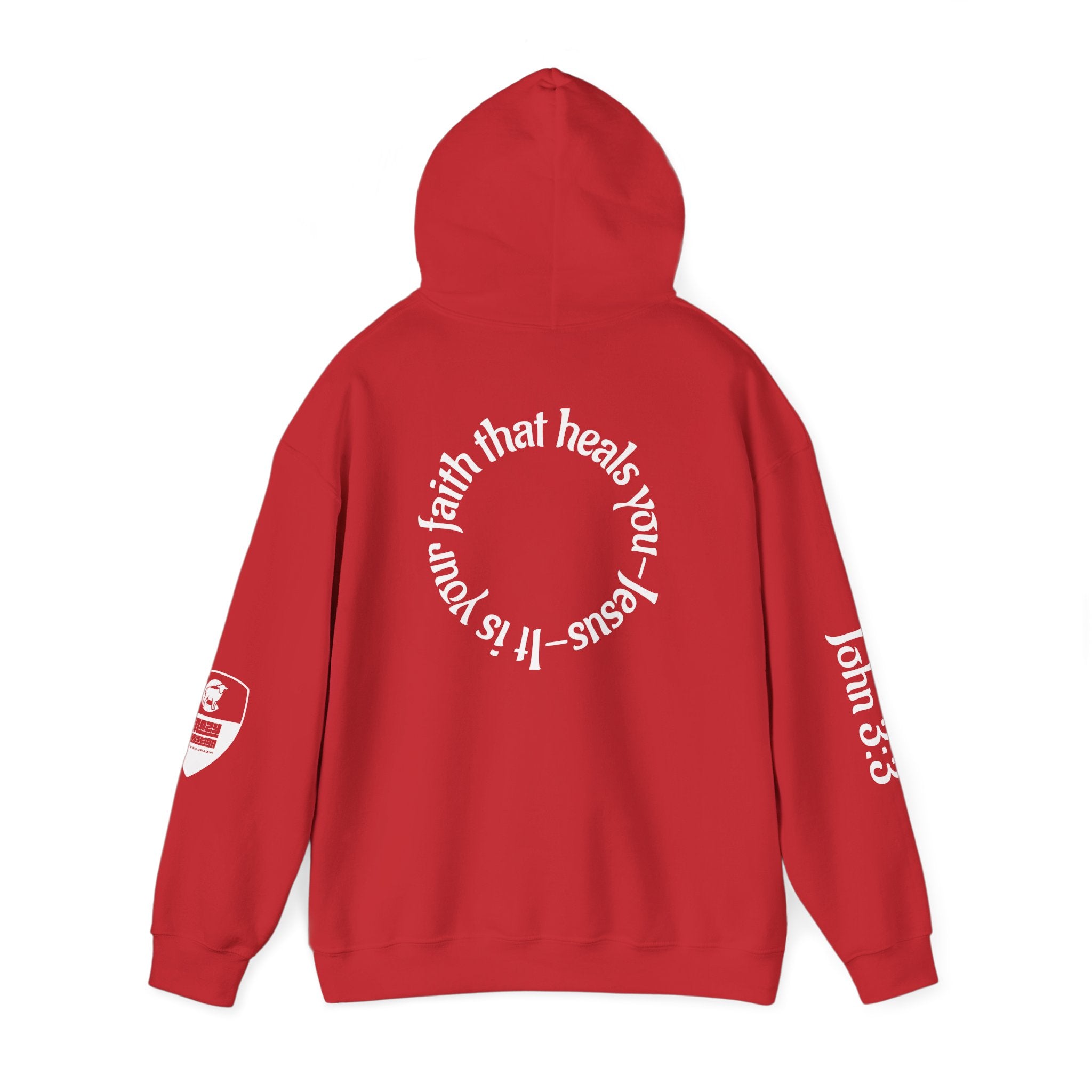 Faith Heals Hoodie – John 3:3 Christian Pullover with Scripture Circle Back Design