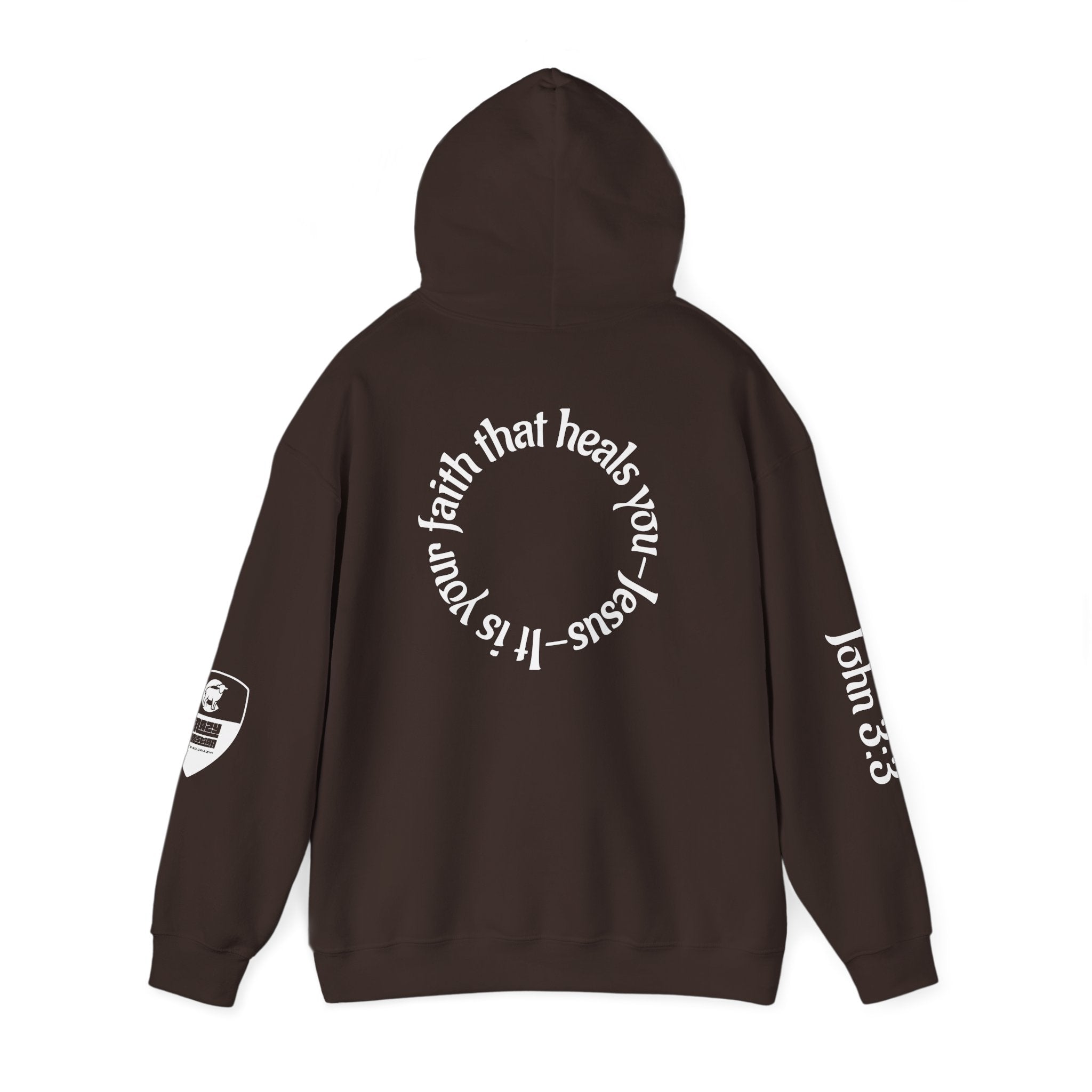 Faith Heals Hoodie – John 3:3 Christian Pullover with Scripture Circle Back Design